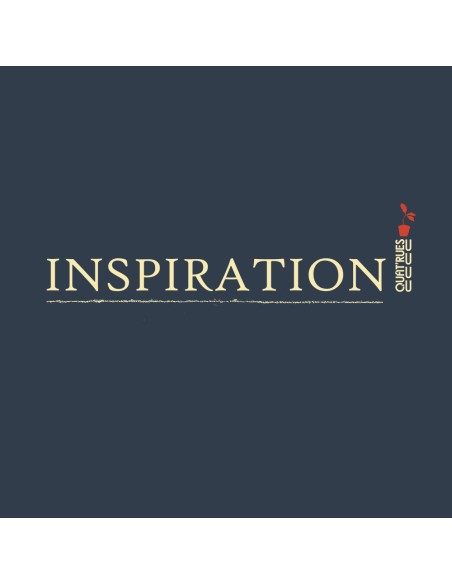 Organic and ethical T-Shirt DOUALA "Inspiration"