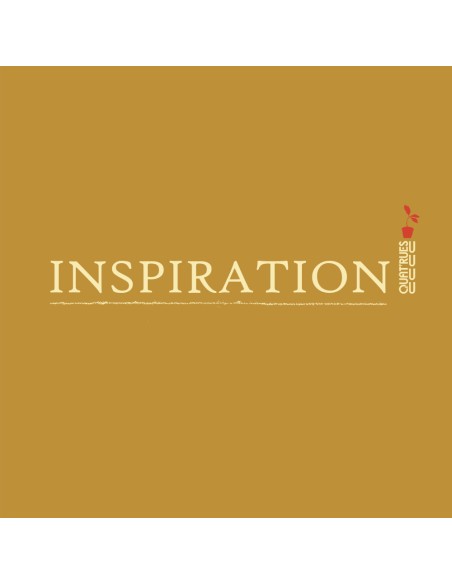 Ethisches Bio-Kapuzensweatshirt JAISALMER "Inspiration"